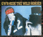 RIDE THE WILD HORSES