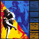 Use Your Illusion