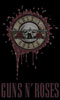 guns n roses
